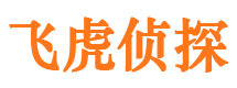 崇川市婚外情调查